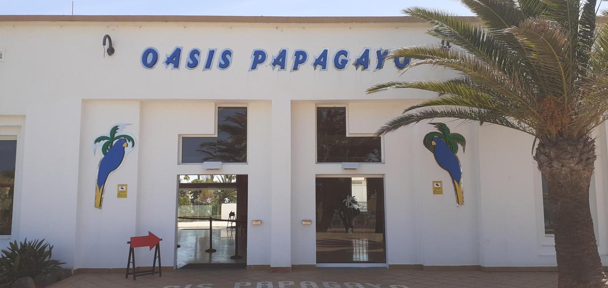 Oasis Waves House Papagayo Appartement Corralejo Buitenkant foto